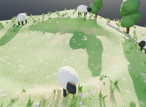 sheep
